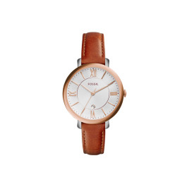 Es3842 fossil 2025